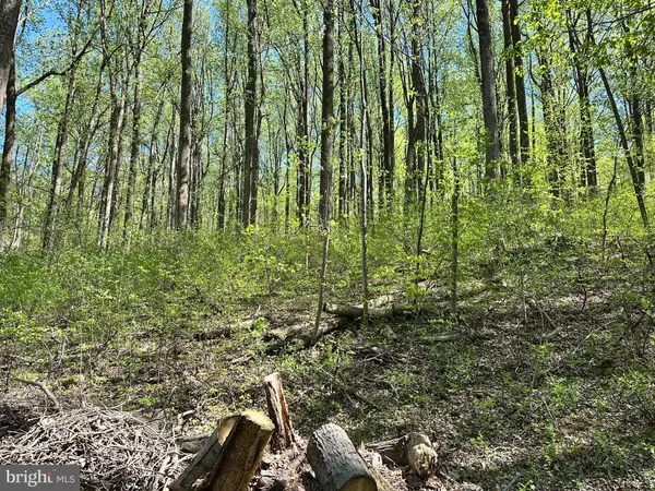 Front Royal, VA 22630,WAMBACH CT