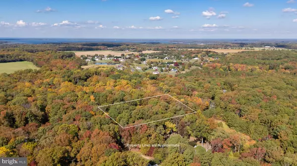 Centreville, MD 21617,401 DULIN CLARK RD