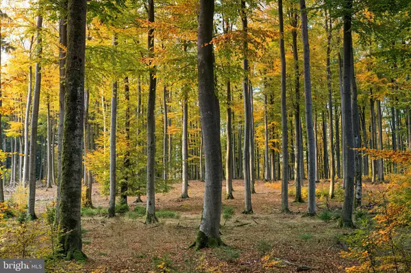 3865 BURNT HOUSE HILL RD,  Doylestown,  PA 18902