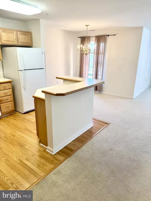 Salisbury, MD 21804,1105 S SCHUMAKER DR #B-200