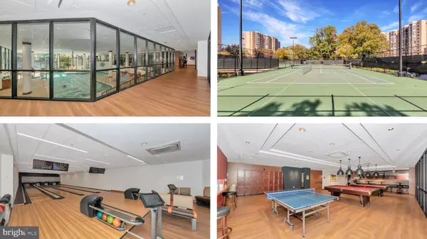 Alexandria, VA 22303,5904 MOUNT EAGLE DR #210