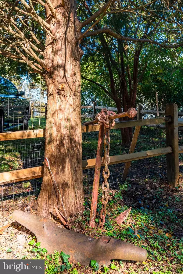 Princess Anne, MD 21853,26388 MOUNT VERNON RD