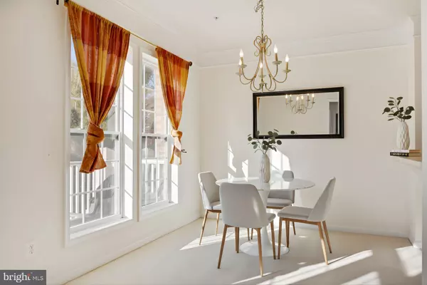 Aldie, VA 20105,41971 BLUE FLAG TER