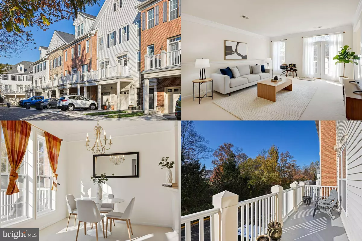 Aldie, VA 20105,41971 BLUE FLAG TER