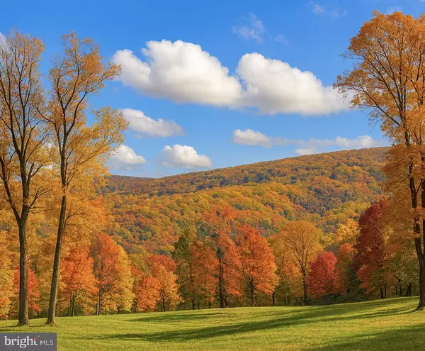 Linden, VA 22642,1 LEE DRIVE