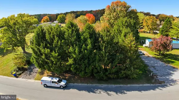 193 GELDEN RD,  Felton,  DE 19943