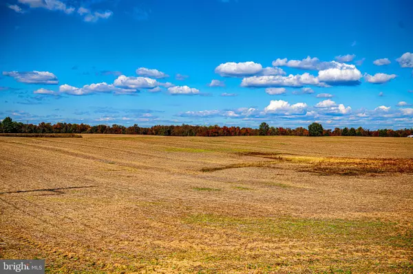 Millington, MD 21651,10434 BIG STONE RD