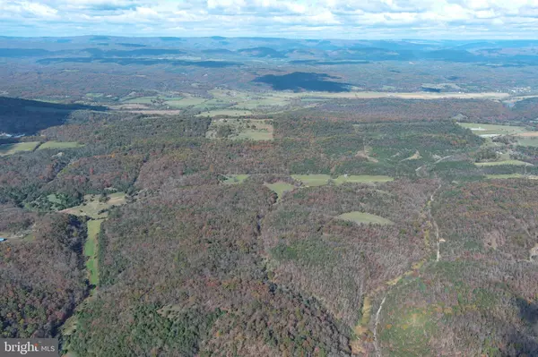 Purgitsville, WV 26852,911 BLACKBURN RD