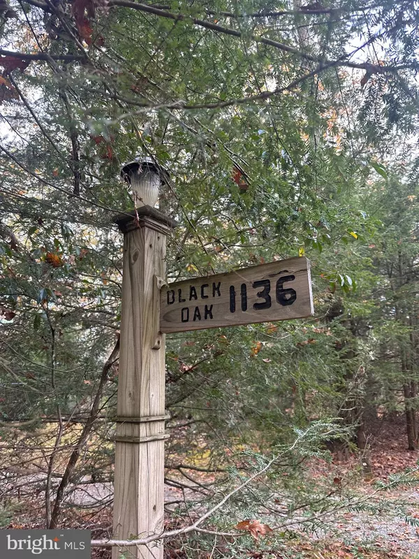 Oakland, MD 21550,1136 BLACK OAK DR