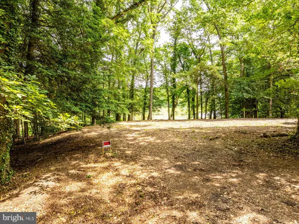 Lewes, DE 19958,32013 LONG LN