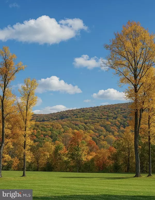 Linden, VA 22642,2 LEE DRIVE