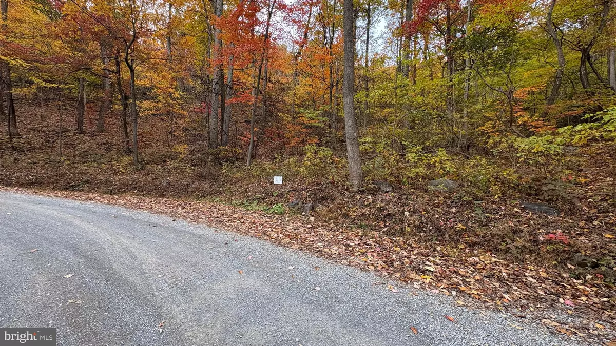 Winchester, VA 22602,LOT 133 TOMAHAWK TRL