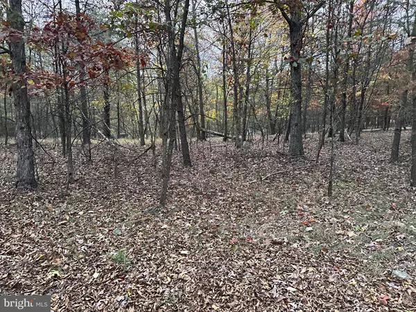 Berkeley Springs, WV 25411,LOT 58 MEDFORD LANE