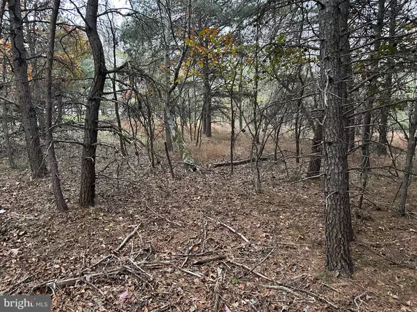 Berkeley Springs, WV 25411,LOT 58 MEDFORD LANE