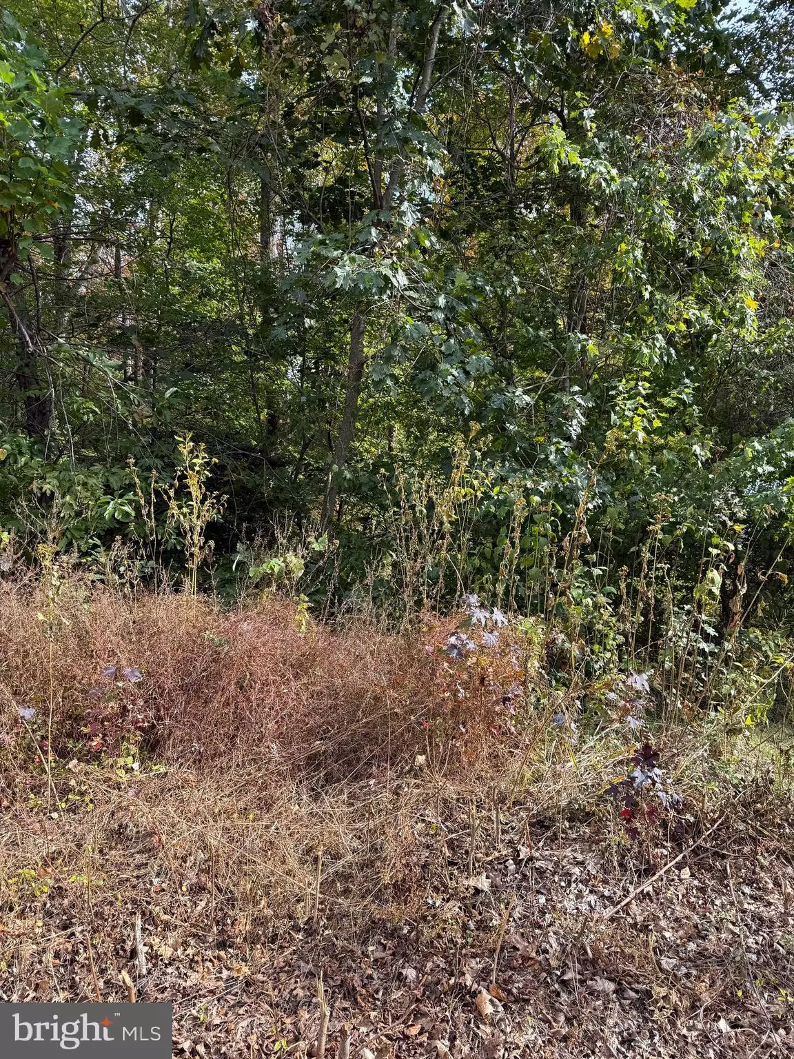 Montross, VA 22520,LOT 41 TRAVELLERS CIRCLE