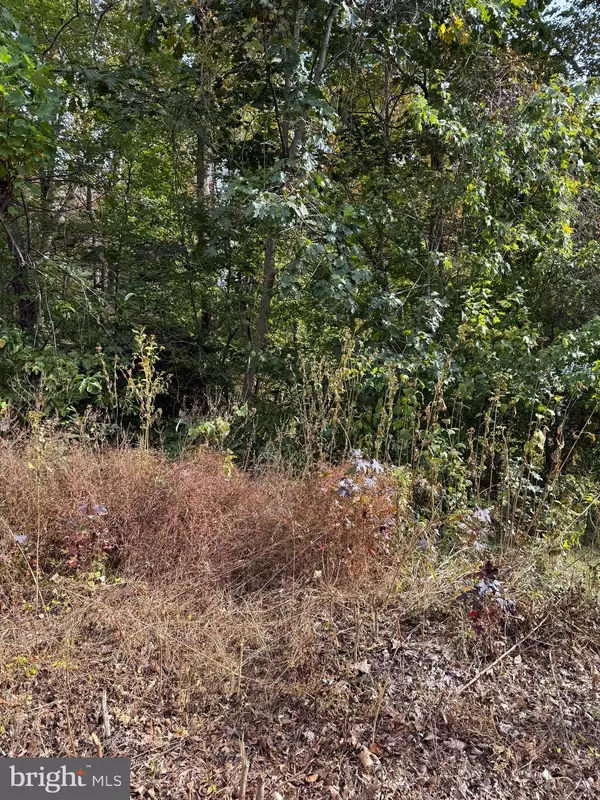 LOT 41 TRAVELLERS CIRCLE, Montross, VA 22520