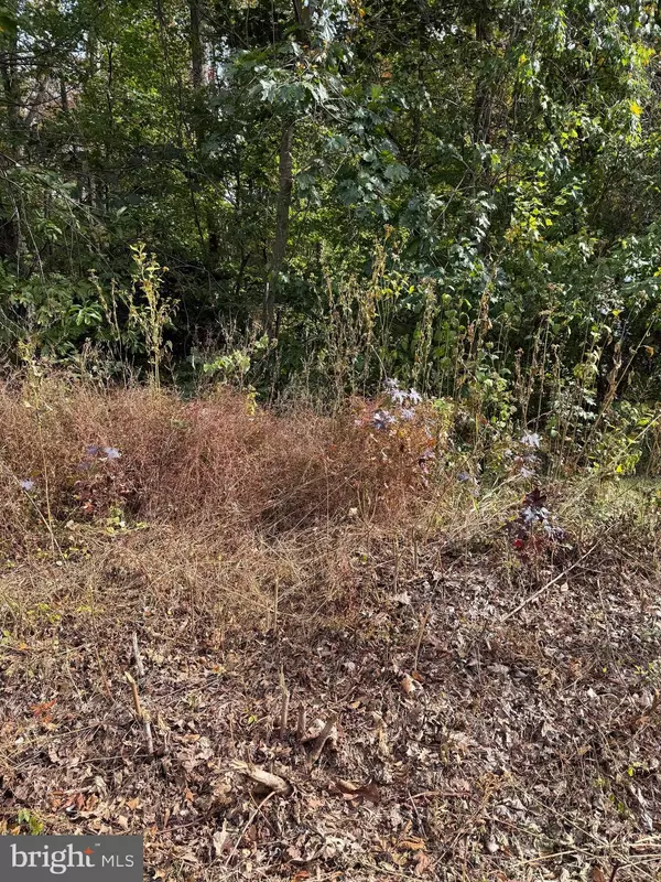 Montross, VA 22520,LOT 41 TRAVELLERS CIRCLE