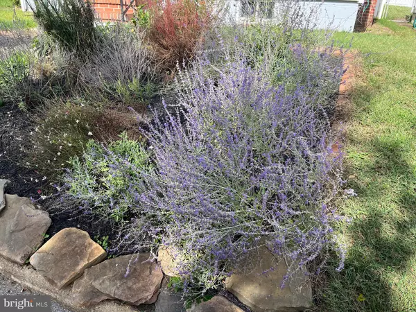 Annapolis, MD 21401,808 CARROLLTON AVE