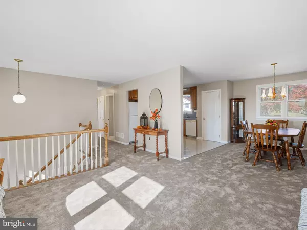 Wilmington, DE 19808,3605 SQUIRREL HILL CT