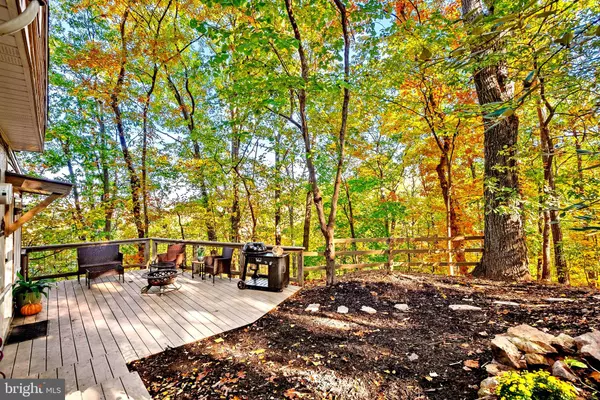 Bluemont, VA 20135,622 TIMBER LN