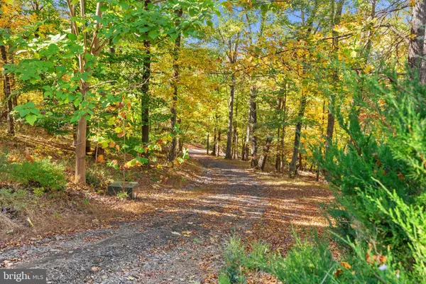 Bentonville, VA 22610,850 TIMBERLAND MANOR