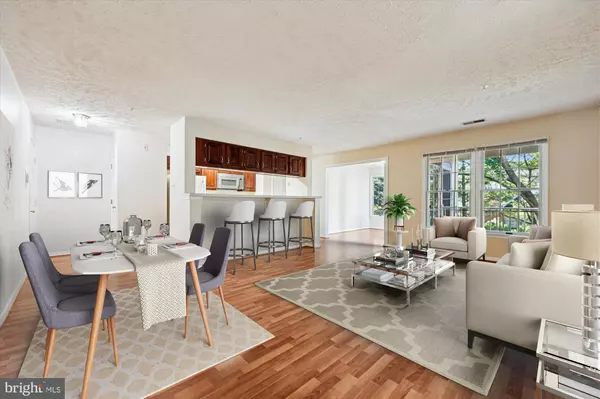 Germantown, MD 20874,13114 BRIARCLIFF TERR #407