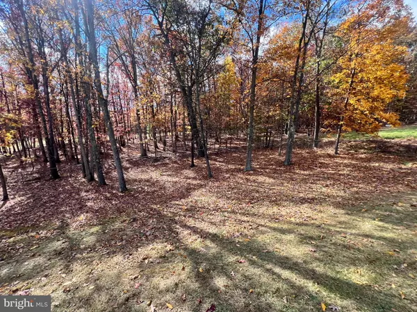 Rawlings, MD 21557,16800 MT CLUB AVE