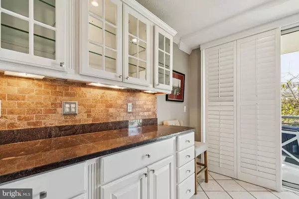 Alexandria, VA 22314,501 SLATERS LN #108