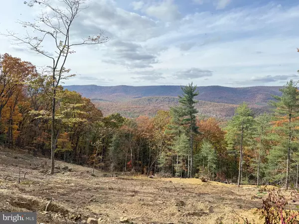 Basye, VA 22810,4101 AND 4039 SUPINLICK RIDGE RD