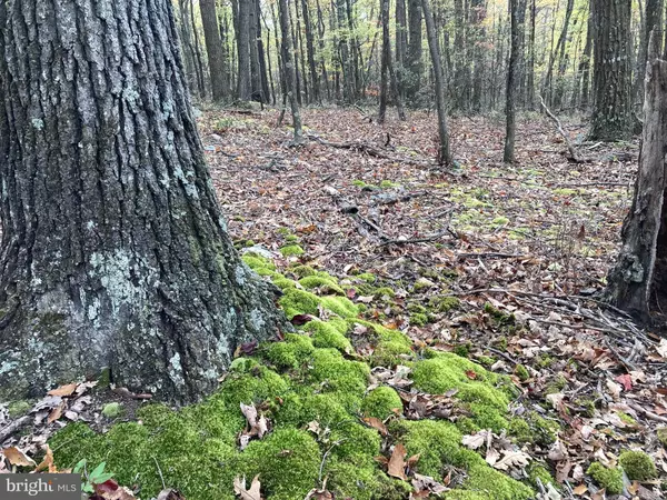 Augusta, WV 26704,BIG HORN TRL