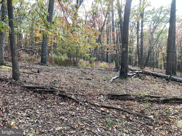 Augusta, WV 26704,BIG HORN TRL