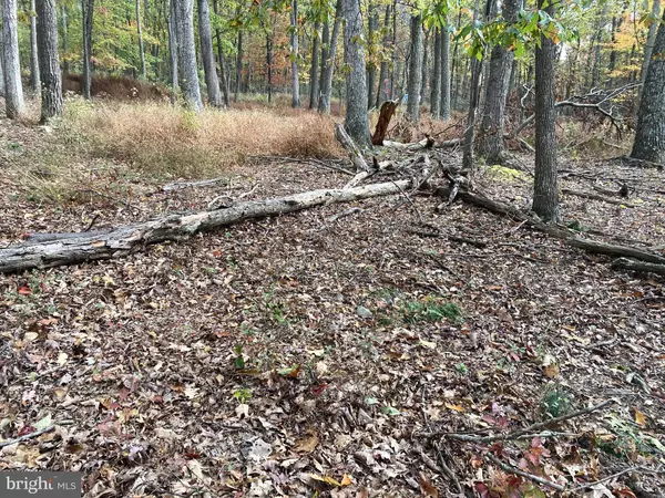 Augusta, WV 26704,BIG HORN TRL