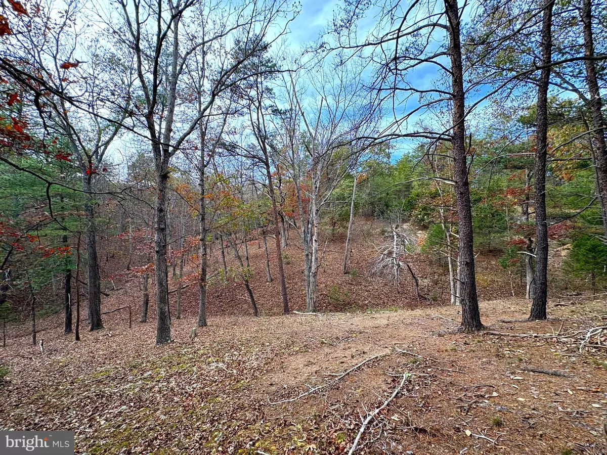 Purgitsville, WV 26852,6.92 AC PURGITSVILLE PIKE