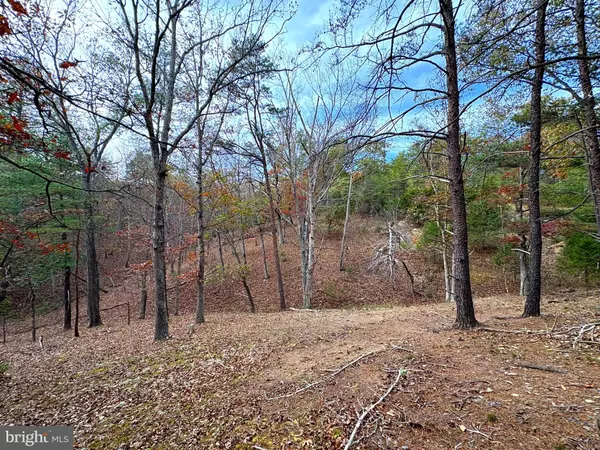 6.92 AC PURGITSVILLE PIKE, Purgitsville, WV 26852