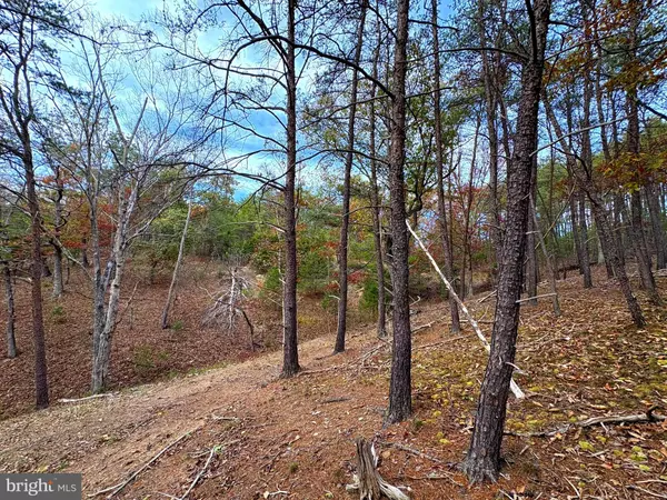 Purgitsville, WV 26852,6.92 AC PURGITSVILLE PIKE