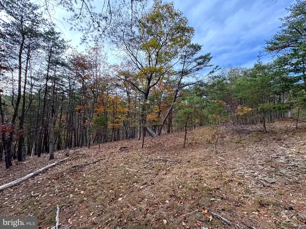 Purgitsville, WV 26852,6.92 AC PURGITSVILLE PIKE