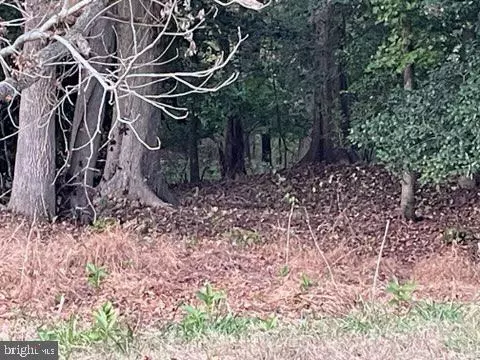 Selbyville, DE 19975,0 RT 54