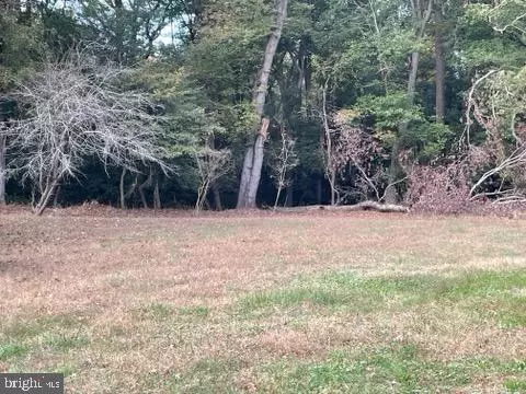 Selbyville, DE 19975,0 RT 54