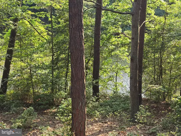 Lusby, MD 20657,12987 HOLLY WAY