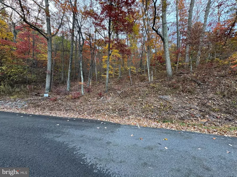 LOT 101 DOGWOOD TRL, Winchester, VA 22602