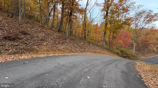 Winchester, VA 22602,LOT 101 DOGWOOD TRL