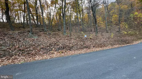 Winchester, VA 22602,LOT 103 DOGWOOD TRL