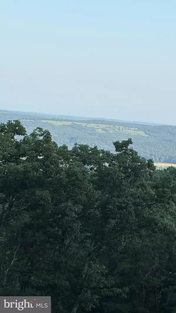 Winchester, VA 22602,LOT 103 DOGWOOD TRL