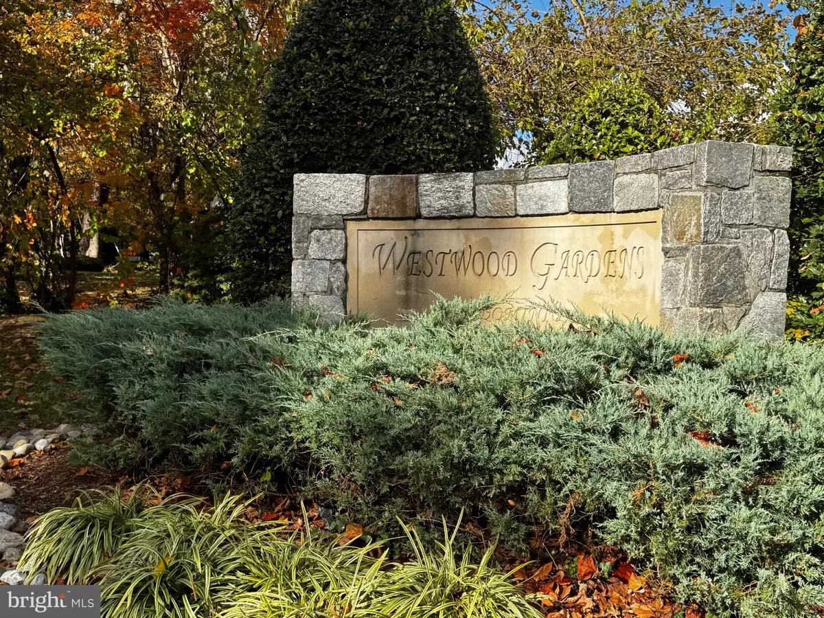 Silver Spring, MD 20902,10859 AMHERST AVE #202