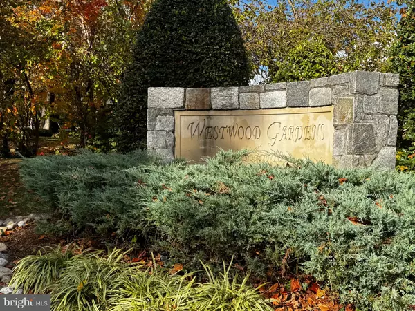 10859 AMHERST AVE #202, Silver Spring, MD 20902