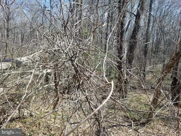 Indian Head, MD 20640,4450 HAWTHORNE RD