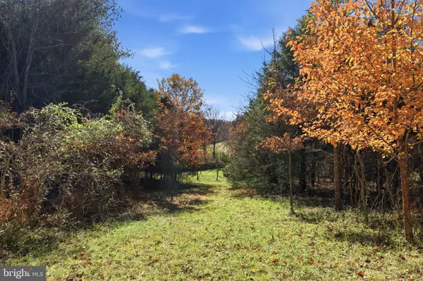 Madison, VA 22727,LOT 2 SEMINOLE