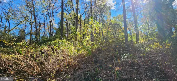 Fort Washington, MD 20744,OLD PALMER RD