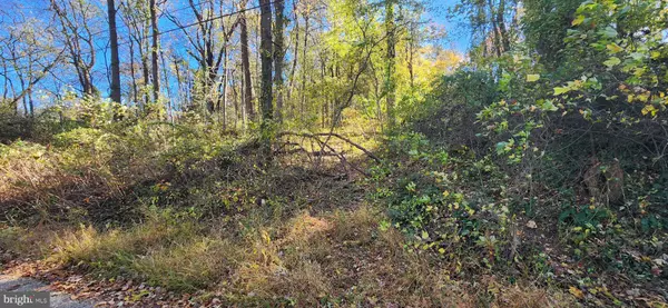 Fort Washington, MD 20744,OLD PALMER RD