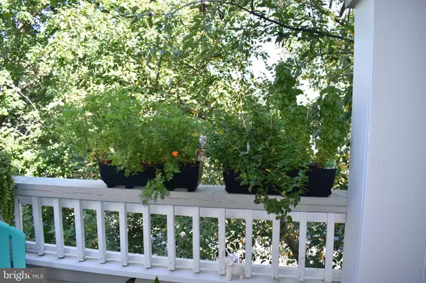 Fairfax, VA 22033,4413 FAIR STONE DR #306